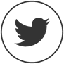 icoon twitter